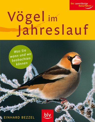 Vögel im Jahreslauf: Was Sie wann und wo beobachten können - Bezzel, Einhard