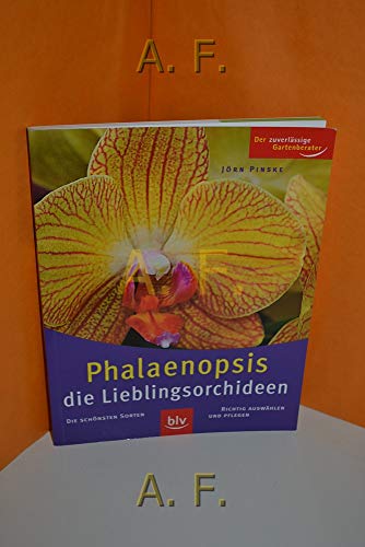 Stock image for Phalaenopsis. Die schnsten Sorten - Richtig auswhlen und pflegen for sale by medimops