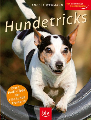 Stock image for Hundetricks for sale by medimops