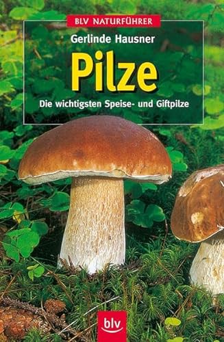 Stock image for Pilze: Die wichtigsten Speise- und Giftpilze for sale by medimops