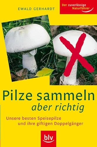 9783835402546: Pilze sammeln aber richtig: Unsere besten Speisepilze und ihre giftigen Doppelgnger