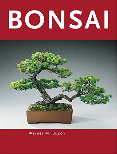Beispielbild fr Bonsai zum Verkauf von medimops