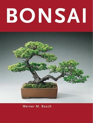 9783835402652: Bonsai
