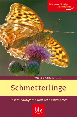 Stock image for Schmetterlinge: Unsere hufigsten und schnsten Arten for sale by medimops
