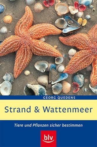 Beispielbild fr Strand und Wattenmeer: Tiere und Pflanzen sicher bestimmen zum Verkauf von medimops