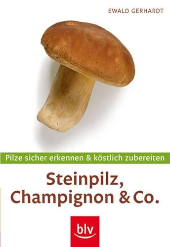 Beispielbild fr Steinpilz, Champignon & Co. - mit Messer: Pilze sicher erkennen und kstlich zubereiten zum Verkauf von medimops