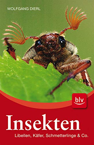 Stock image for Insekten: Libellen, Kfer, Schmetterlinge und Co for sale by medimops