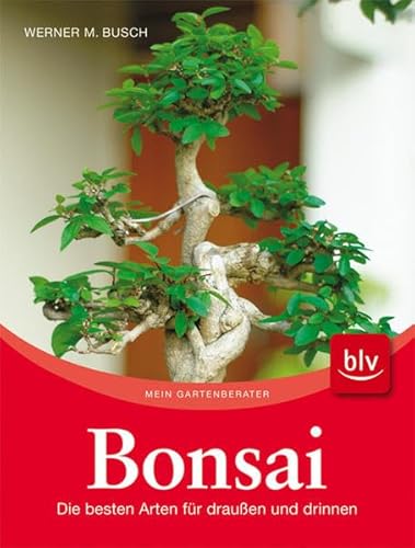 Imagen de archivo de Bonsai: Die besten Arten für drau en und drinnen Busch, Werner M. a la venta por tomsshop.eu