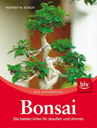 Stock image for Bonsai: Die besten Arten für drau en und drinnen Busch, Werner M. for sale by tomsshop.eu