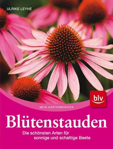 Stock image for Bltenstauden: Die schnsten Arten fr sonnige und schattige Beete for sale by medimops