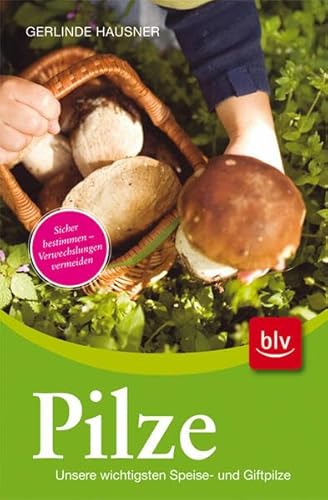 Stock image for Pilze: Unsere wichtigsten Speise- und Giftpilze. Sicher bestimmen - Verwechslungen vermeiden for sale by medimops