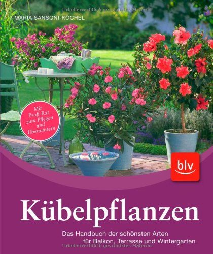 Beispielbild fr Kbelpflanzen: Das Handbuch der schnsten Arten fr Balkon, Terrasse und Wintergarten zum Verkauf von medimops