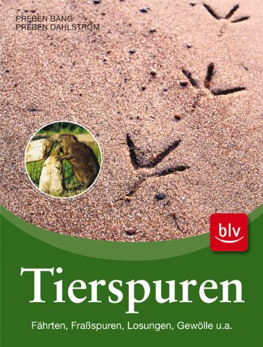 Stock image for Tierspuren : Fhrten, Fraspuren, Losungen, Gewlle u.a. for sale by Bchergarage