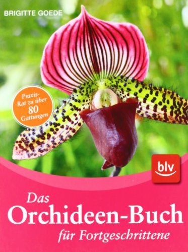 Beispielbild fr Das Orchideen-Buch fr Fortgeschrittene zum Verkauf von medimops