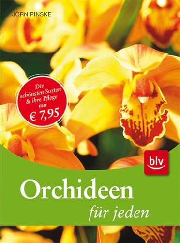Stock image for Orchideen fr jeden: Die wichtigsten Gruppen - Die schnsten Sorten - Die beste Pflege for sale by medimops