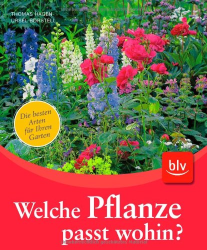 Welche Pflanze passt wohin? Die besten Arten für Ihren Garten.