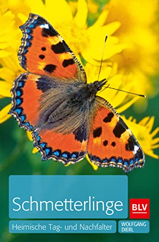Stock image for Schmetterlinge: Heimische Tag- und Nachtfalter for sale by medimops
