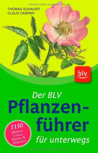 Stock image for Der BLV Pflanzenfhrer fr unterwegs: 1150 Blumen, Grser, Bume und Strucher for sale by medimops