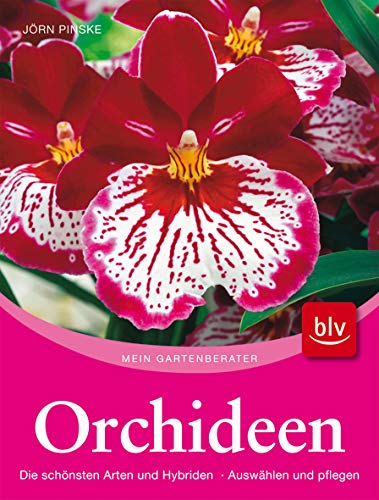 Stock image for Orchideen: Die schnsten Arten und Hybriden. Auswhlen und pflegen for sale by medimops