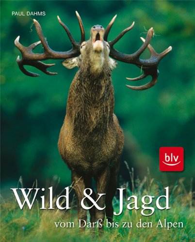 Beispielbild fr Wild und Jagd vom Dar bis zu den Alpen zum Verkauf von medimops