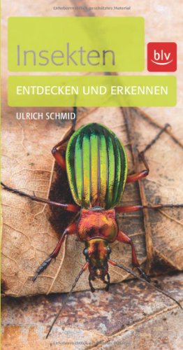 Insekten: Entdecken und erkennen - Schmid, Ulrich