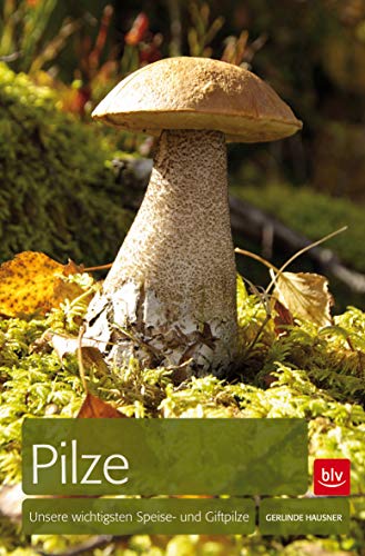 Stock image for Pilze: Unsere wichtigsten Speise- und Giftpilze Sicher bestimmen - Verwechslungen vermeiden for sale by medimops