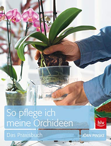 Stock image for So pflege ich meine Orchideen: Das Praxisbuch for sale by medimops
