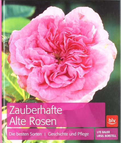 Zauberhafte Alte Rosen: Die besten Sorten Geschichte und Pflege - Ute Bauer