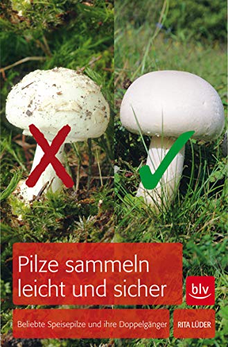 Stock image for Pilze sammeln leicht und sicher: Beliebte Speisepilze und ihre Doppelgnger for sale by medimops