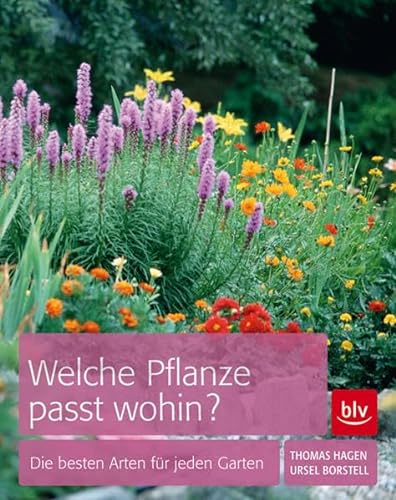 Stock image for Welche Pflanze passt wohin?: Die besten Arten fr den Garten for sale by medimops