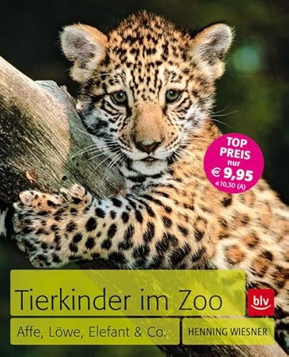 Beispielbild fr Tierkinder im Zoo: Affe, Lwe, Elefant & Co zum Verkauf von medimops
