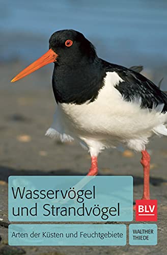 Stock image for Wasservgel und Strandvgel: Arten der Ksten und Feuchtgebiete for sale by medimops