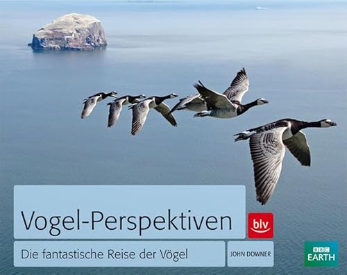 9783835409668: Vogel-Perspektiven: Die fantastische Reise der Vgel