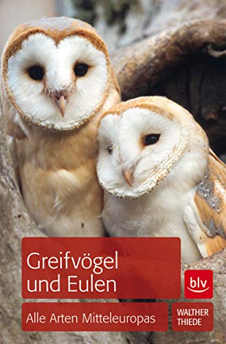 Stock image for Greifvgel und Eulen: Alle Arten Mitteleuropas for sale by medimops