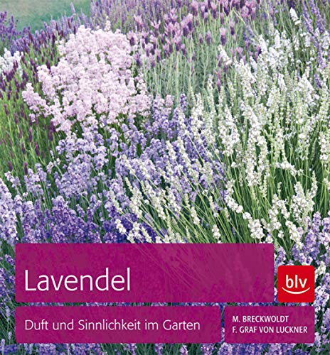 Stock image for Lavendel: Duft und Sinnlichkeit im Garten for sale by medimops