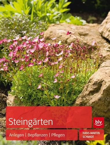 Stock image for Steingrten: Anlegen - Bepflanzen - Pflegen for sale by medimops