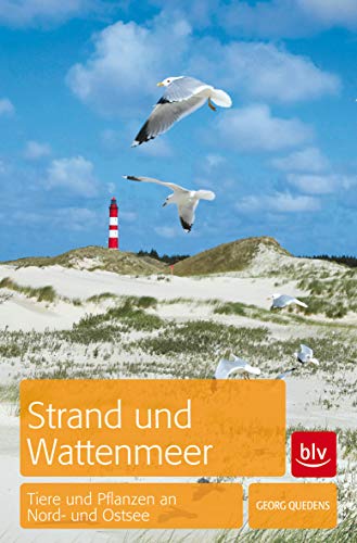 9783835410992: Strand und Wattenmeer: Tiere und Pflanzen an Nord- und Ostsee  - AbeBooks - Quedens, Georg: 3835410997