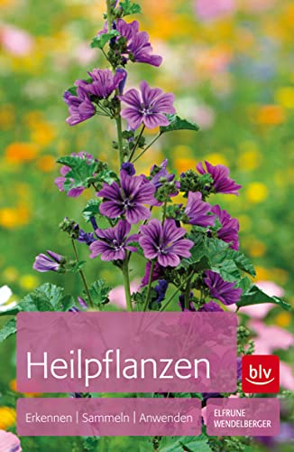 Stock image for Heilpflanzen for sale by ThriftBooks-Dallas