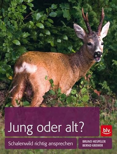 Beispielbild fr Jung oder alt?: Schalenwild richtig ansprechen zum Verkauf von medimops