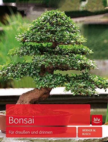 Beispielbild fr Bonsai: Fr drauen und drinnen zum Verkauf von medimops