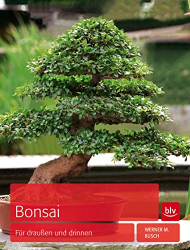 9783835411531: Bonsai: Fr drauen und drinnen