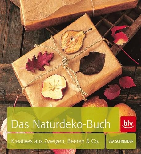 Beispielbild fr Das Naturdeko-Buch: Kreatives aus Zweigen, Beeren & Co zum Verkauf von medimops