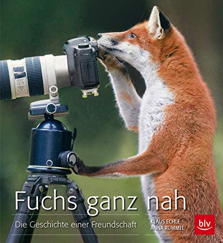 Stock image for Fuchs ganz nah: Die Geschichte einer besonderen Freundschaft for sale by medimops