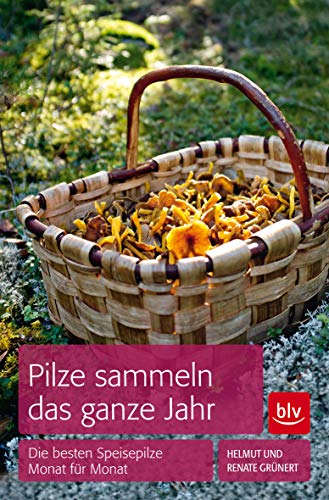 9783835411845: Pilze sammeln das ganze Jahr: Die besten Speisepilze Monat fr Monat