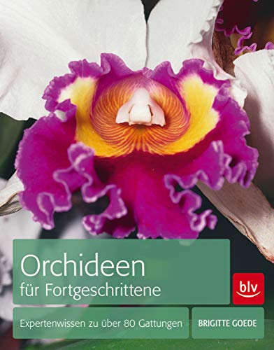 9783835411975: Orchideen fr Fortgeschrittene: Expertenwissen zu ber 80 Gattungen