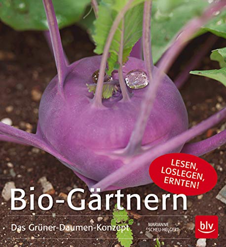 Bio-Gärtnern Das Grüner-Daumen-Konzept