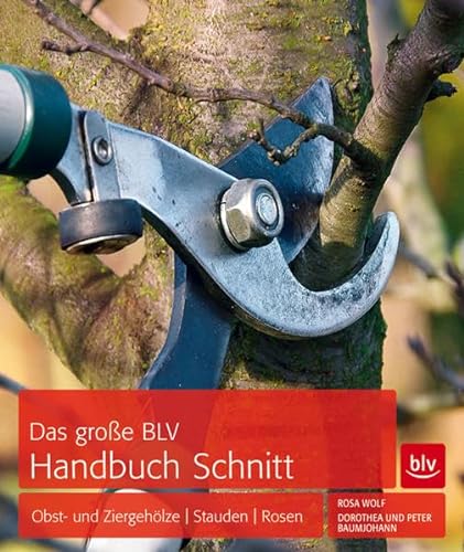 Beispielbild fr Das groe BLV Handbuch Schnitt: Obst- und Ziergehlze | Stauden | Rosen zum Verkauf von medimops
