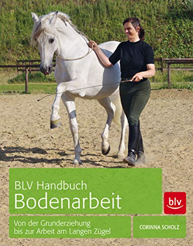 Stock image for BLV Handbuch Bodenarbeit: Von der Grunderziehung bis zur Arbeit am Langen Z�gel for sale by Chiron Media