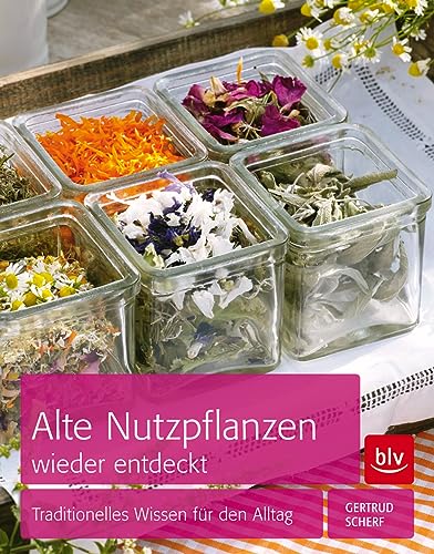 Stock image for Alte Nutzpflanzen wieder entdeckt: Traditionelles Wissen fr den Alltag for sale by medimops