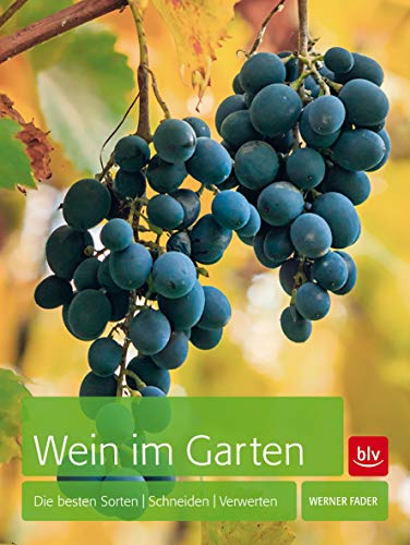Beispielbild fr Wein im Garten: Die besten Sorten | Schneiden | Verwerten zum Verkauf von medimops